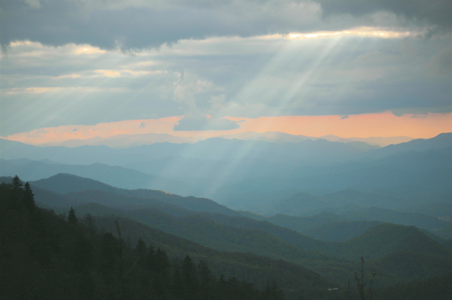 rays
