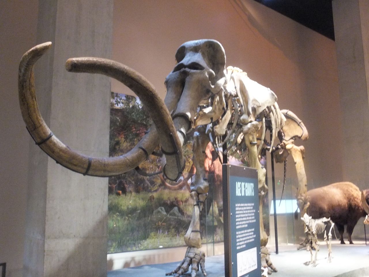 Mastodon
