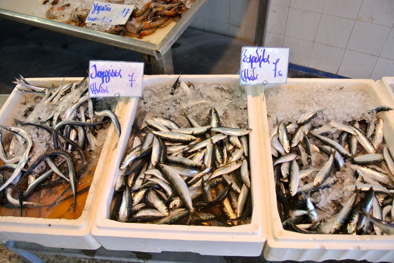 Anchovies