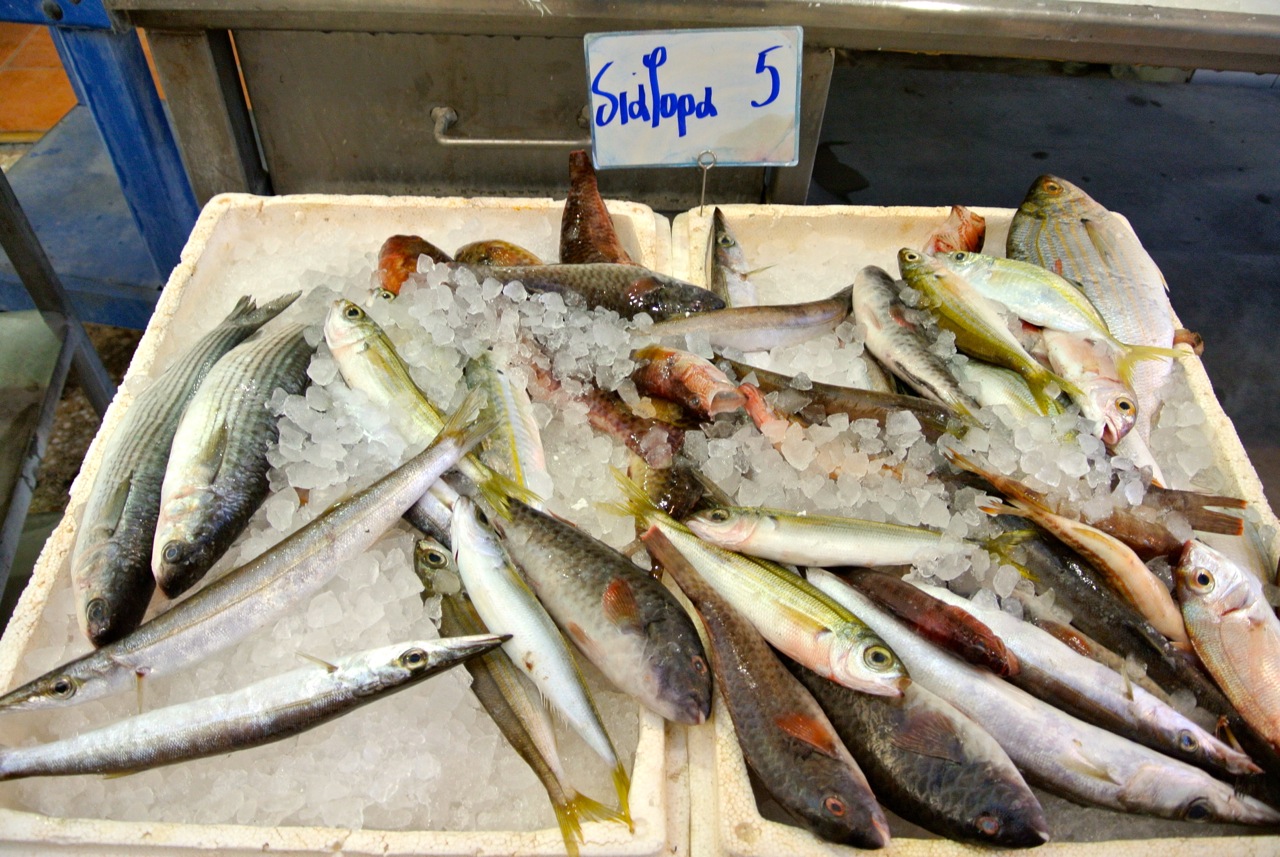 Fish