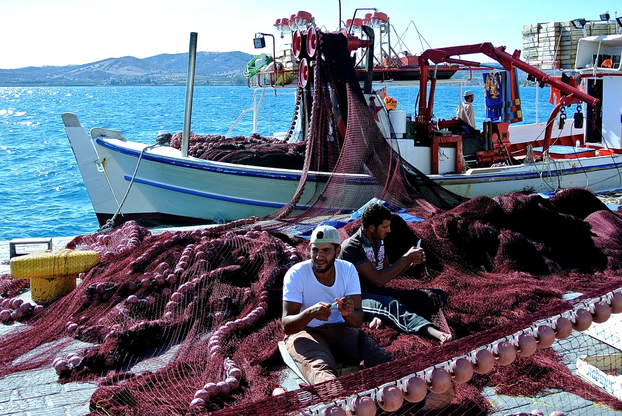 FisherNets