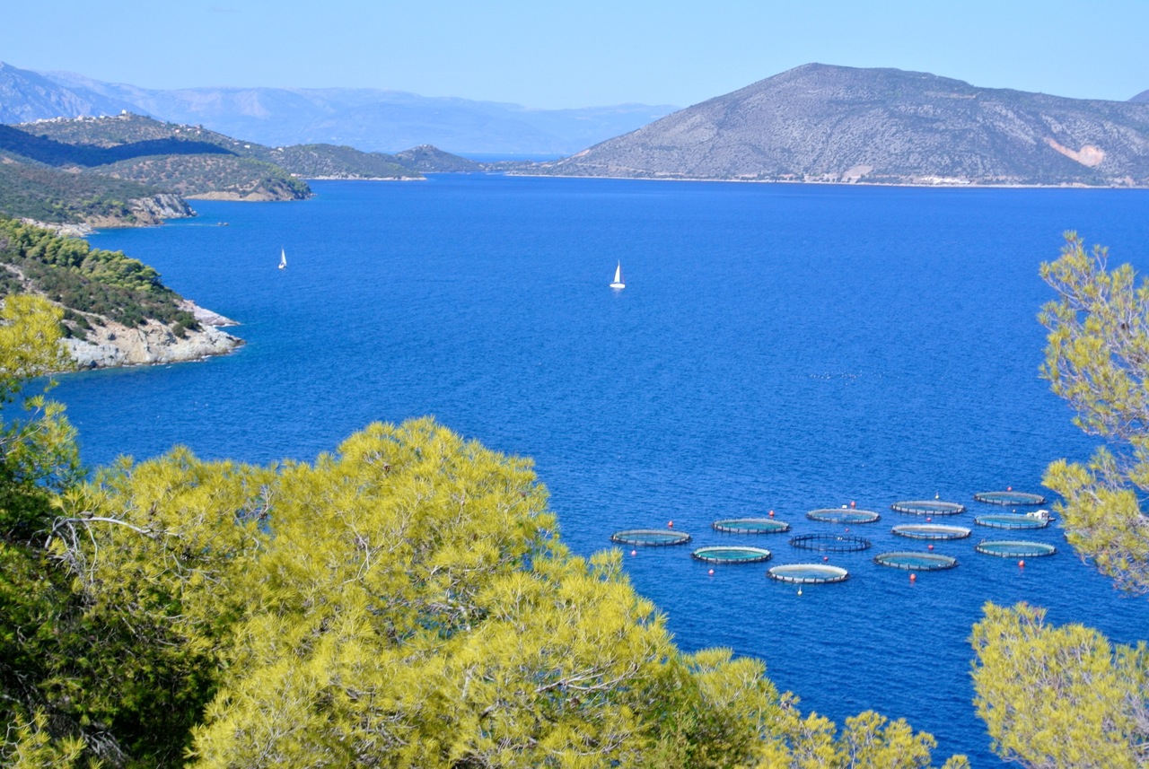 FishFarm