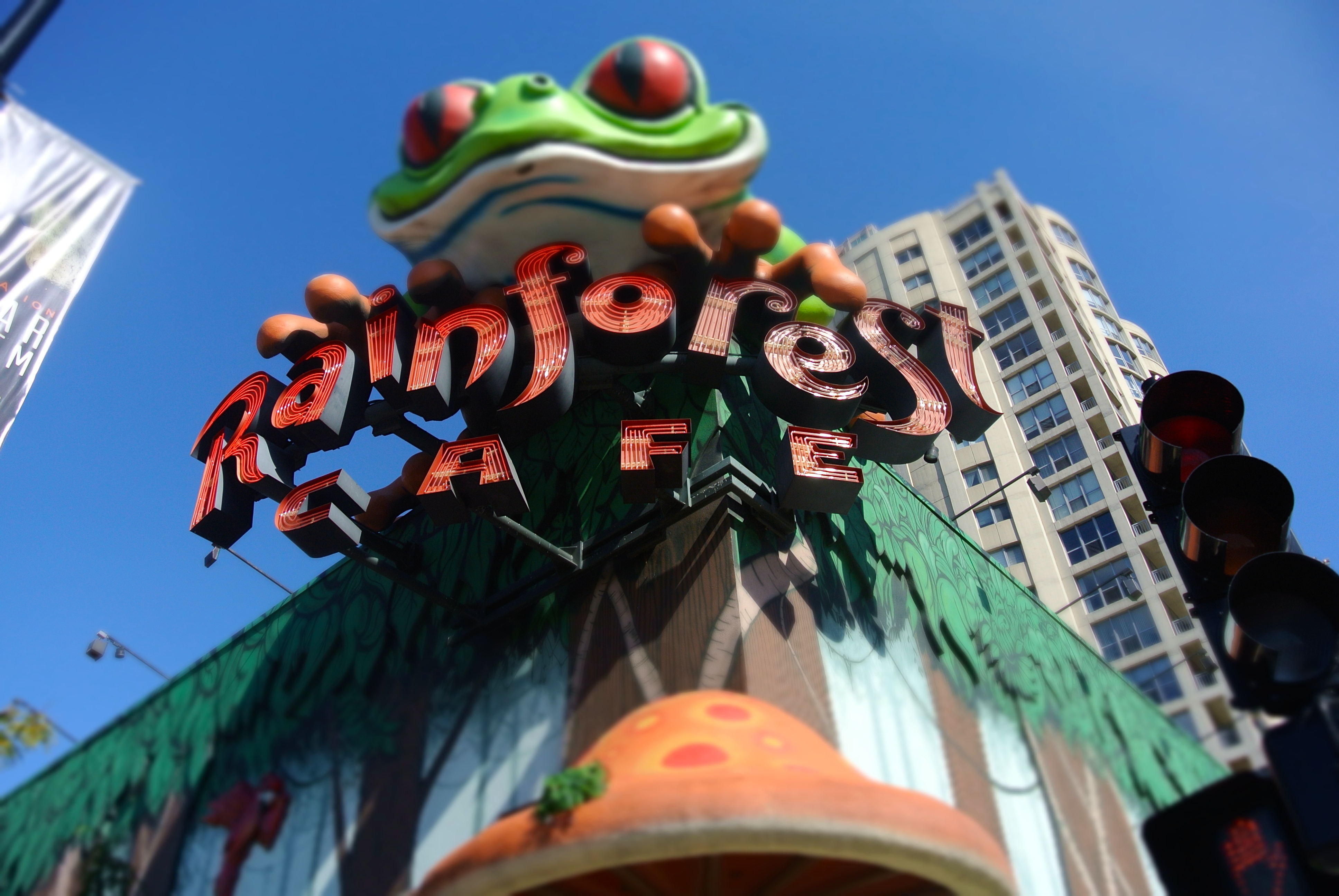 The Rainforest Cafe--a unique building