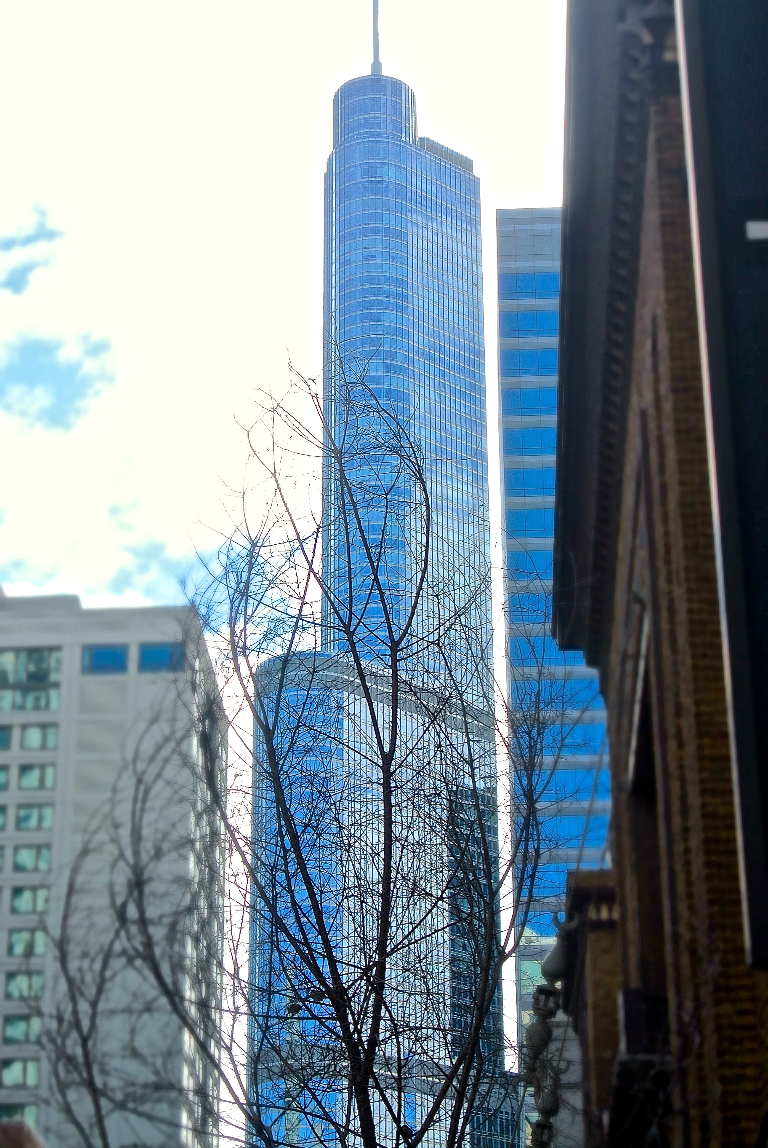 Trump Tower--Monument to a super ego